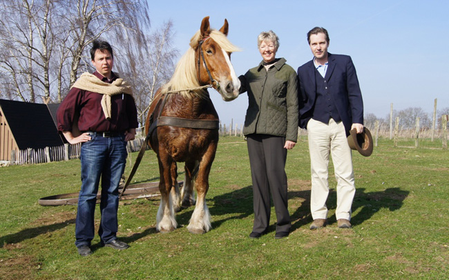 (c)Arche_Warder,_Dr-web