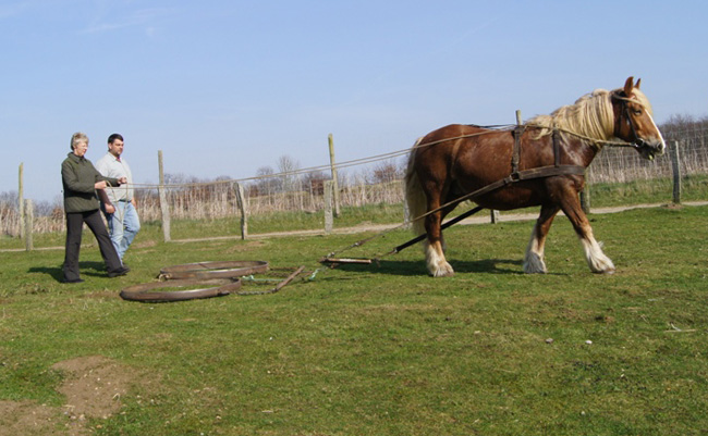 (c)Arche_Warder,_Dr2-web